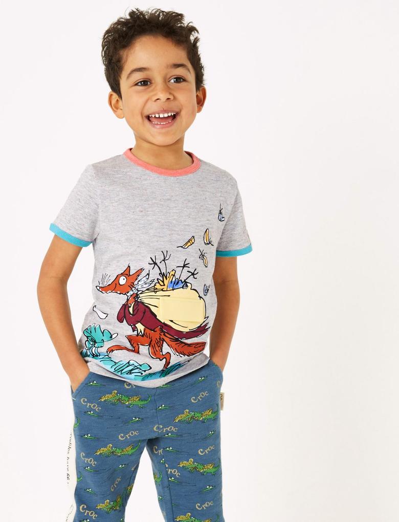Erkek Çocuk Gri Roald Dahl™ & NHM™ Desenli T-Shirt