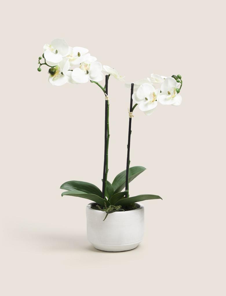 Ev Beyaz Orta Boy Dekoratif Orkide