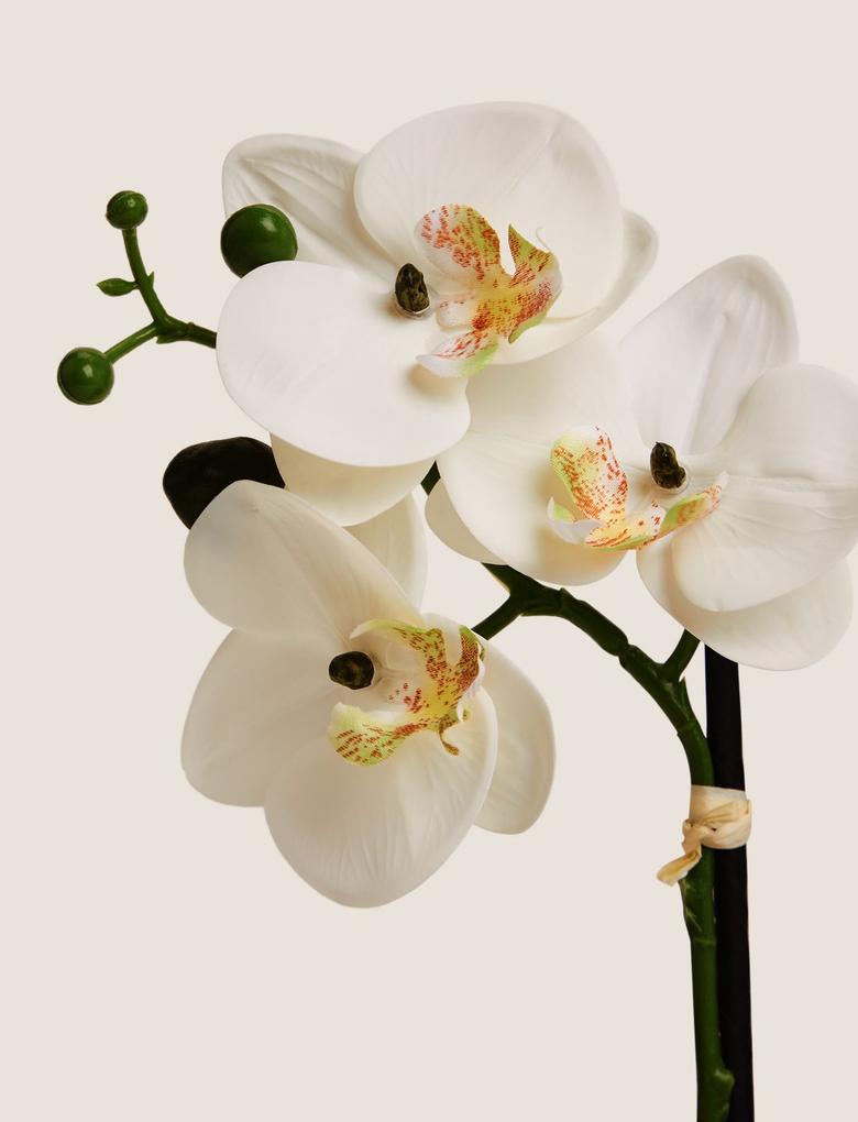 Ev Beyaz Küçük Boy Dekoratif Orkide