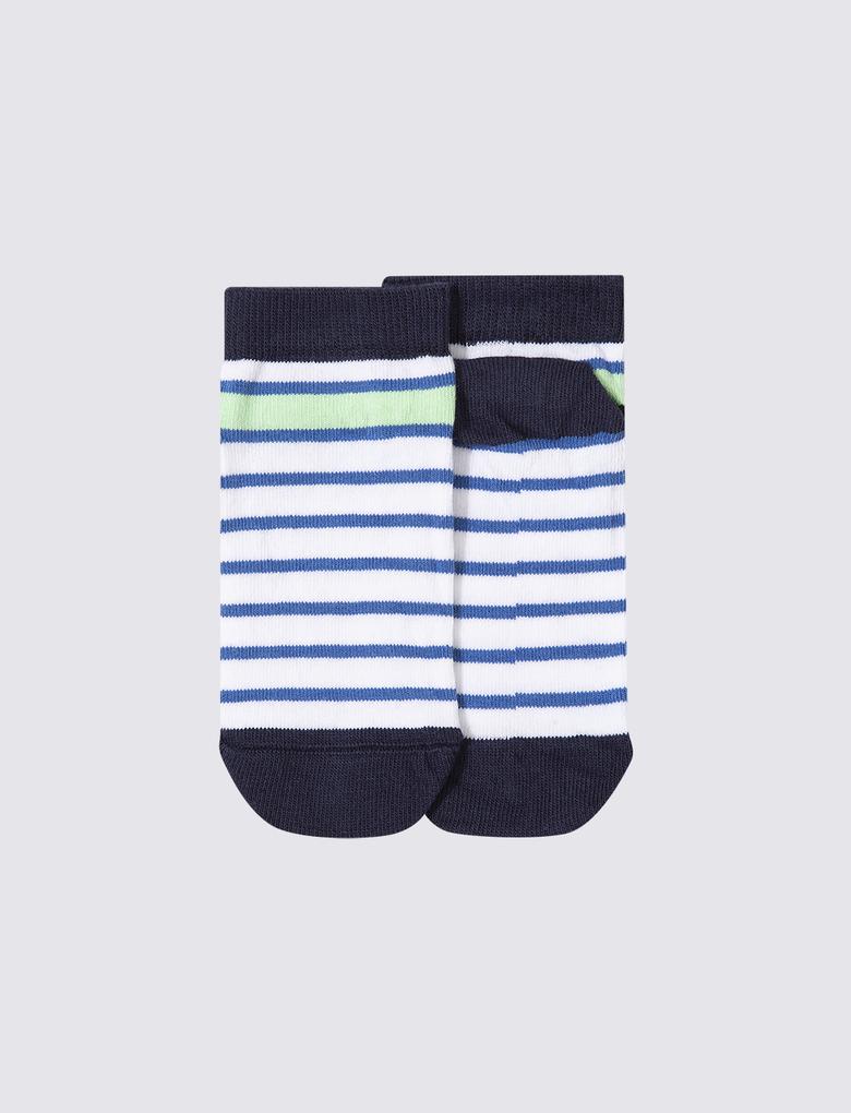 Çocuk Multi Renk 5'li Köpekbalığı Desenli Çorap Seti