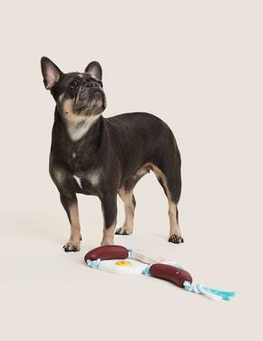 Ev Multi Renk Köpek Diş Kaşıma Oyuncağı