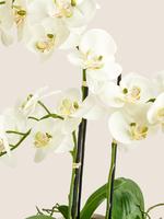 Ev Beyaz Büyük Boy Yapay Orkide