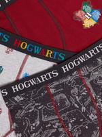 Erkek Çocuk Multi Renk 3'lü Harry Potter™ Trunk (6-16 Yaş)
