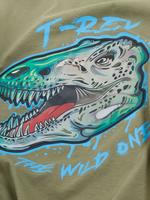 Erkek Çocuk Yeşil Saf Pamuklu Dinozor Desenli T-Shirt (6-16 Yaş)