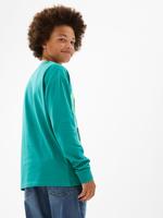 Erkek Çocuk Yeşil Saf Pamuklu Pul Detaylı T-Shirt (6-16 Yaş)
